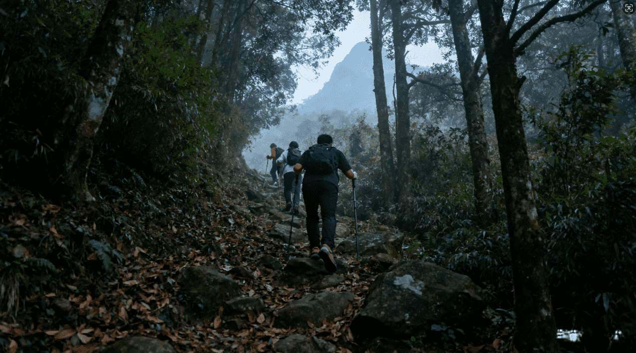 轻蜂加速器免费获取的多种实用方法揭秘